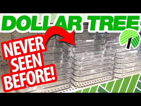 🔥*ALL NEW* Dollar Tree ORGANIZATION HACKS! Luxury DIYs for your whole home!
