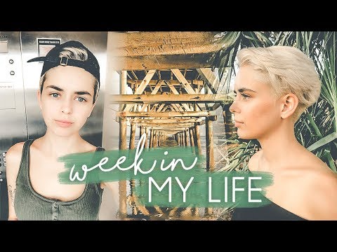 WEEK IN MY LIFE: haircut & color and my new job!