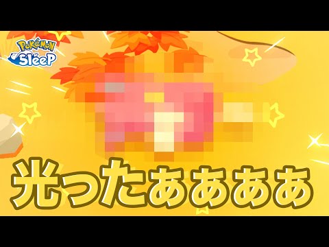 【ポケモンスリープ】光ったぁぁぁぁ！！！！