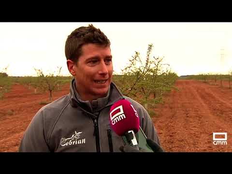 El Campo | La primera helada de la primavera se ceba con el almendro | 04.04.22