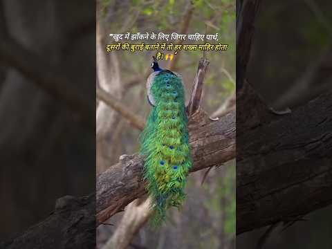 Motivational quotes #shorts #ytshorts #cute #youtubeshorts