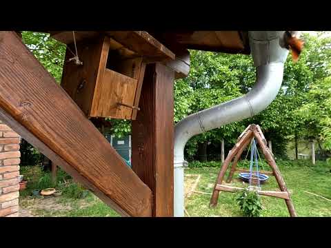 Befészkelt a rozsdafarkú család az odúmba!