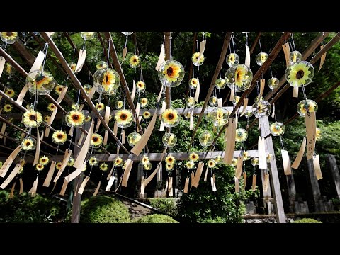 涼を呼び込む「花風鈴」