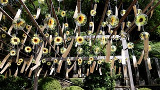 動画サムネイル