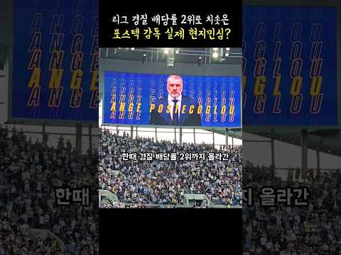 경질 배당률 2위로 치솟은 포스텍 감독 실제 '현지 민심'