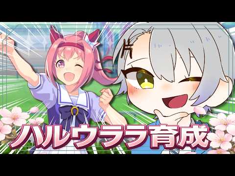 【 #ウマ娘 】ハルウララ育成!今日こそ勝利を…!【初見歡迎】