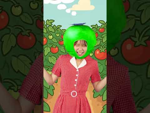 とてもくだらないシリーズ２　 #みっちー#保育士 #ショート #トマト #tomato #まっくん  #このゆびとまれ #やさいのうた