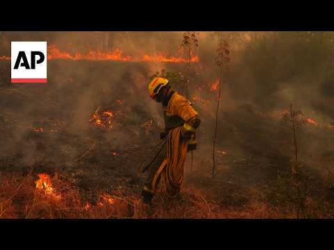 Why are Europe's wildfires so bad, and what can be done to help prevent them?