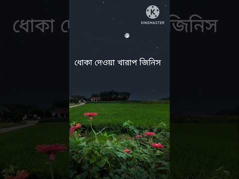 #কখনো কাউকে ধোঁকা দিও না #viral #vido # Islamic