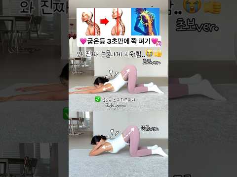 눈물나게 시원한 극락스트레칭 #흥둥이홈트 #흥둥이 #스트레칭 #hiit #workout