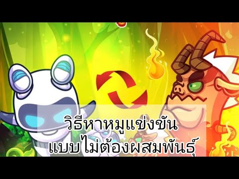 happy-hog-|สายฟรีต้องดู!!!-หาห happy-hog-|สายฟรีต้องดู!!!-หาห