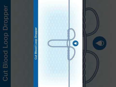#Shorts How To Tie The Cut Blood Loop Dropper Knot