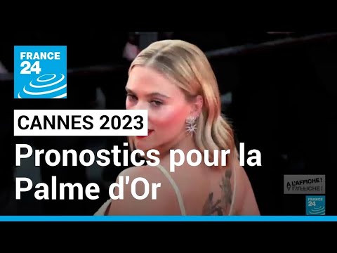Cannes 2023 : les pronostics pour la Palme d'or sur la Croisette • FRANCE 24