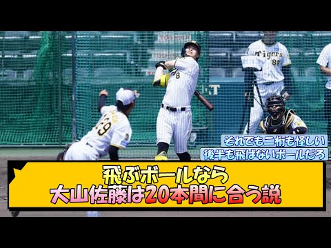 【阪神】飛ぶボールなら大山佐藤は20本間に合う説【なんJ/2ch/5ch/ネット 反応 まとめ/阪神タイガース/岡田監督/大山悠輔/佐藤輝明】