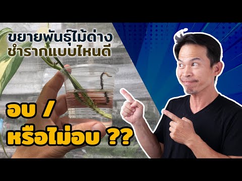 Propagationcompareเปรียบเทีย