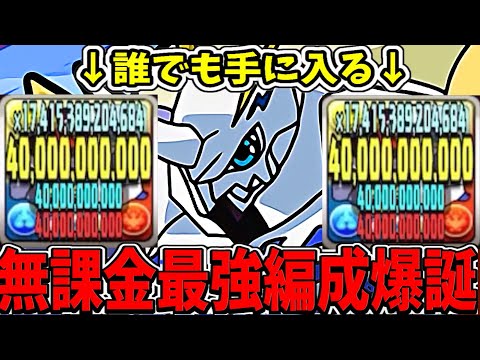 【絶対作ろう】自軍完全無課金編成で新凶兆勝てちゃうの天才すぎる【パズドラ】