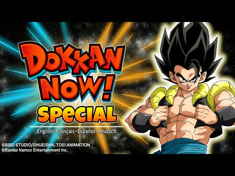 2024 DOKKAN NOW! SPECIAL (9th Anniversary)