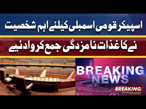 Important Person Submitted Nomination Papers For Speaker National Assembly Post