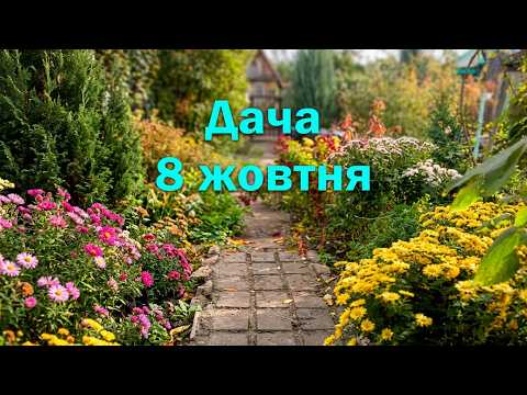 Дача 8 жовтня