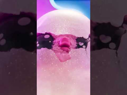 น้องกลับมาแล้ว!📷HatchimalsA