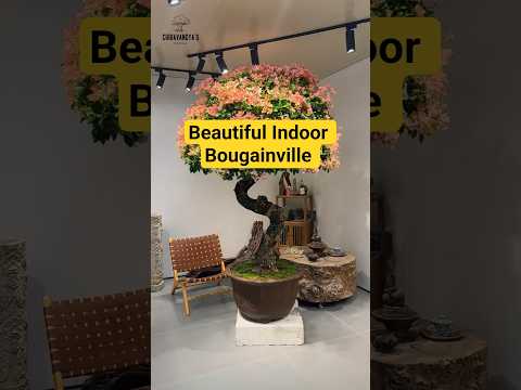 This isn't a plant, it's a living masterpiece!