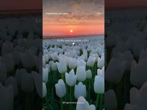 #amor #diapadres #mensaje #santopadre #reflexion #reflexionesdeldia #reflexiones #diosteama #fe