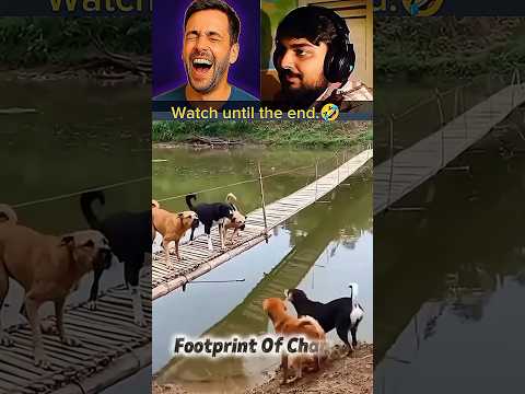 Try Not To Laugh Challenge 😂 | Best Funny Video 2025 | Part 4 | #shorts #funnyvideo