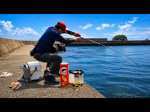 Fish Go Crazy for This Bait (ASMR)