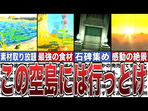 【ティアキン】宝の山！絶対に行くべき最高の空島8選【ゼルダの伝説ティアーズオブザキングダム/ティアキン】