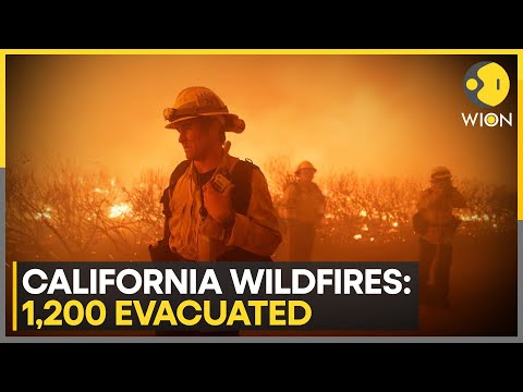 California wildfires: 1200 evacuated from LA county as 'Post Fire' burned down 4400 acres | WION
