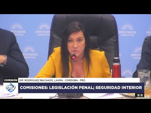 COMISIÓN EN VIVO: PLENARIO - 24 de abril de 2024 - Diputados Argentina