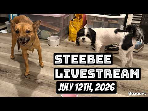 Steebee Stream-july 12th, 2026