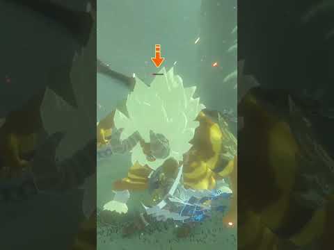 The Quickest Gold Lynel Battle Ever! #Zelda #BreathoftheWild #breathofthewildgameplay