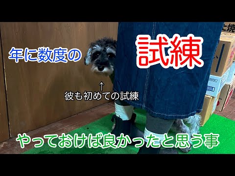 【簡単料理】年に数度の試練
