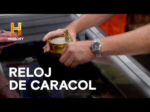 RELOJ DE CARACOL - EL PRECIO DE LA HISTORIA
