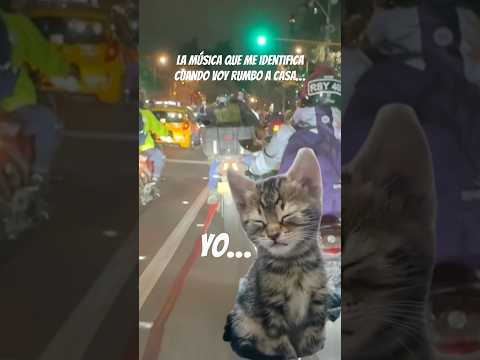 Hambre y sueño #apachertr310 #motos #moteros #biker #humor #parati #fyp