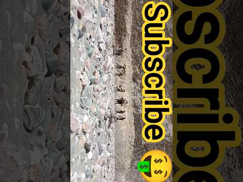 शाम भी खूब हैँ // shaam bhi 🔥khoob hain//#army #mountains #inspiration