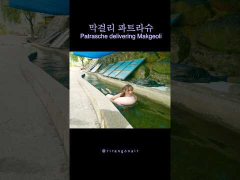 막걸리 배달하는 파트라슈 리랑 막걸리 배달하는 파트라슈 리랑