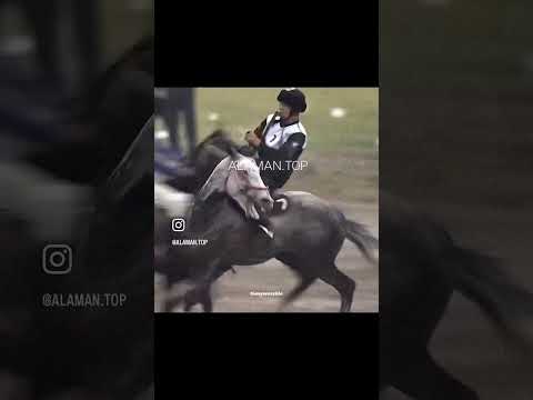 Буркуттор🇰🇬🔥#рекомендации #horse #рек