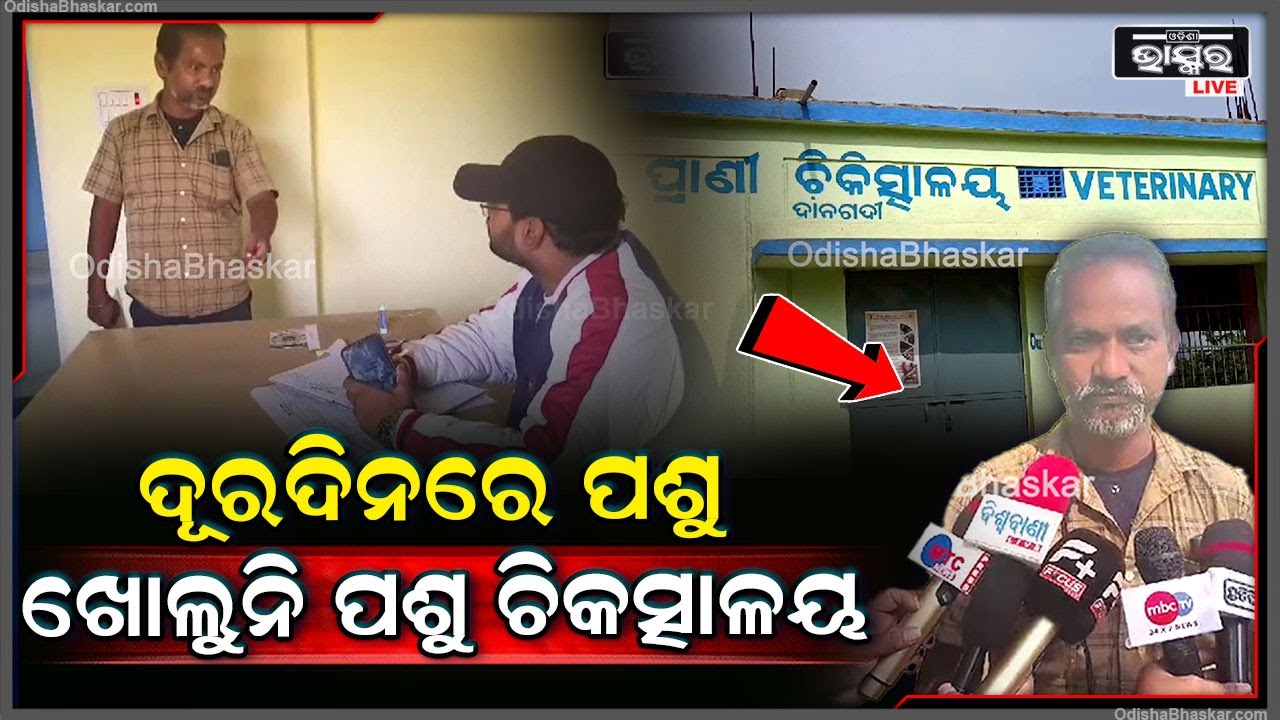ହାତାଦାର ହେଉଛନ୍ତି ପଶୁ..ଖୋଲୁନି ପଶୁ ଚିକତ୍ସାଳୟ..ଅଭିଯୋଗ ଆଣିଲେ ଗ୍ରାମବାସୀ
