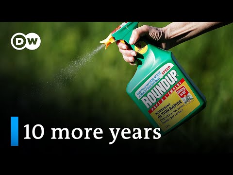Controversial weedkiller used in "Roundup" approved for 10 more years in the EU | DW Business