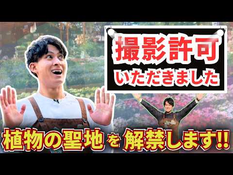 【1日じゃ回れない】木村植物園が想像以上だった｜観葉植物・花・野菜・サウナまで全部ある