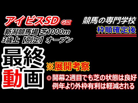 【アイビスSD2025】展開考察付き最終動画 快速ピューロが不利な内枠を能力で押し切るか！？