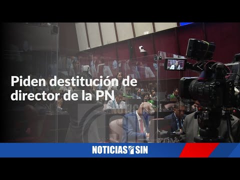 A favor y en contra de destituir al director PN