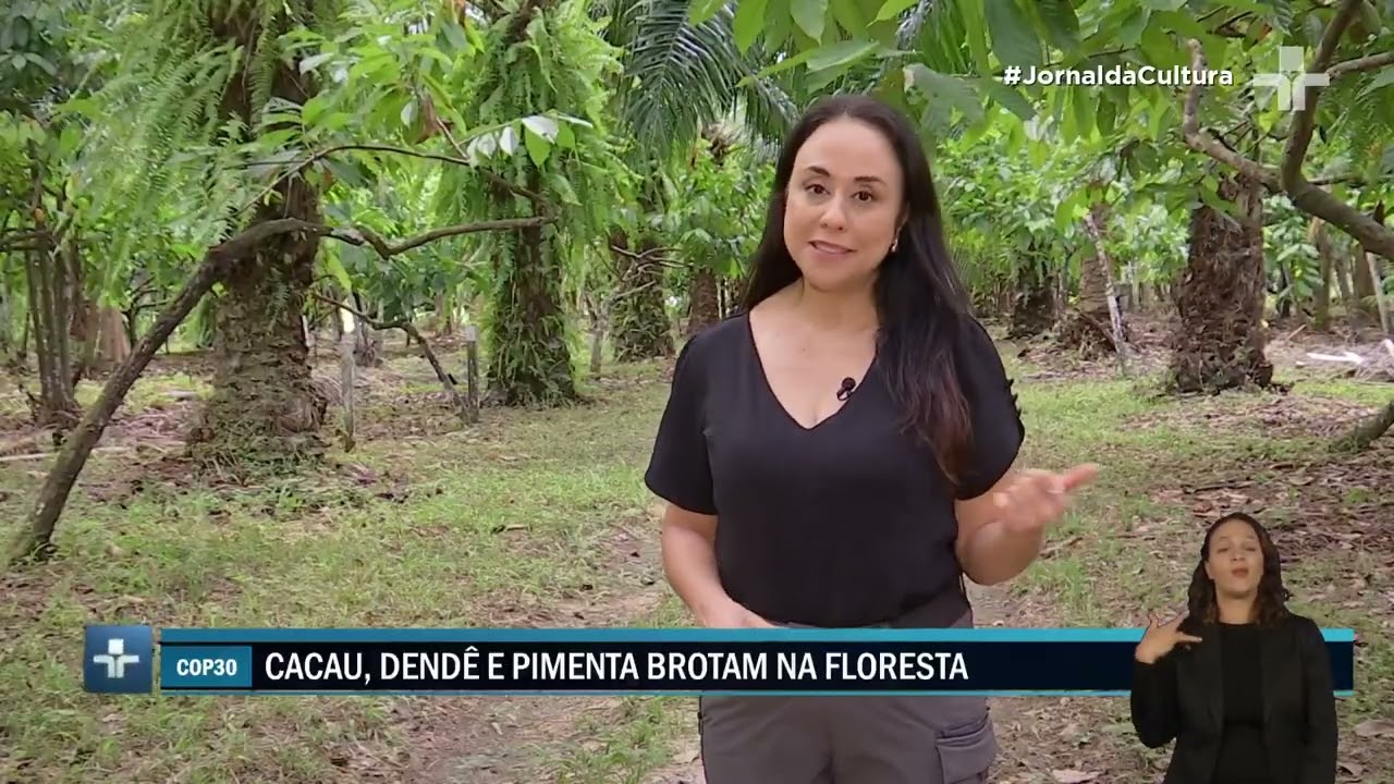 COP30 em Belém destaca agroecologia e cooperativismo como caminhos sustentáveis