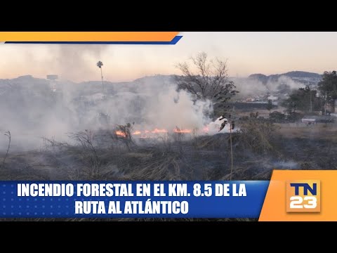 Incendio forestal en el km. 8.5 de la ruta al Atlántico