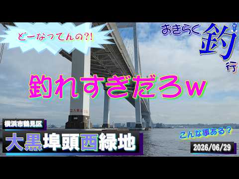 【#横浜・#大黒埠頭西緑地】#おきらく釣行【2026/06/29】