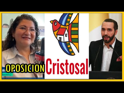 Cristosal rechaza ser parte de la oposición: Agenda de las ONG's en política