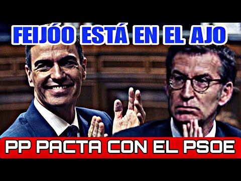 EL PP DE NÚÑEZ FEIJÓO PACTA CON PEDRO SÁNCHEZ, Sánchez sigue gobernando con la ayuda del pp