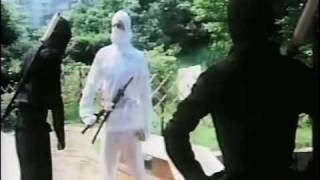 Click to View : Bionic Ninja (1986)